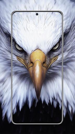 Eagle wallpapers - عکس برنامه موبایلی اندروید