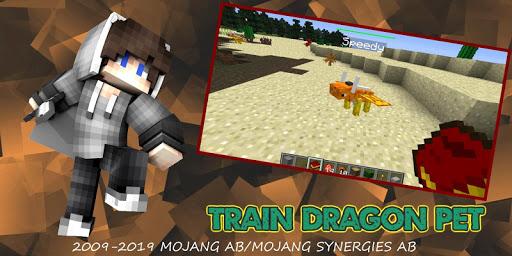 Mod Dragon Craft : MCPE Pet - عکس بازی موبایلی اندروید