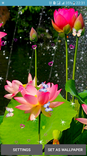 Lotus Live Wallpapers - Image screenshot of android app