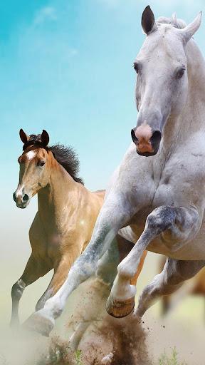 Horse Pictures Live Wallpaper - Image screenshot of android app