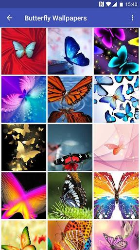 Butterfly Wallpapers - عکس برنامه موبایلی اندروید