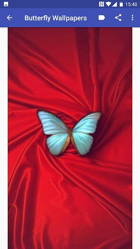 Butterfly Wallpapers - عکس برنامه موبایلی اندروید