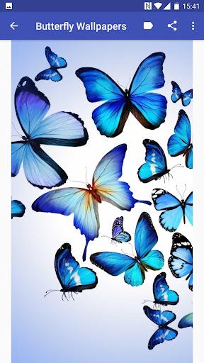 Butterfly Wallpapers - Image screenshot of android app