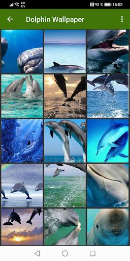Dolphin Wallpapers - عکس برنامه موبایلی اندروید