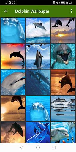 Dolphin Wallpapers - Image screenshot of android app