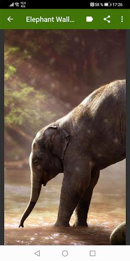 Elephant Wallpapers - عکس برنامه موبایلی اندروید