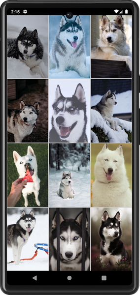 Husky Dog Wallpapers - عکس برنامه موبایلی اندروید