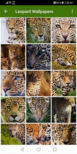 Leopard Wallpapers - عکس برنامه موبایلی اندروید