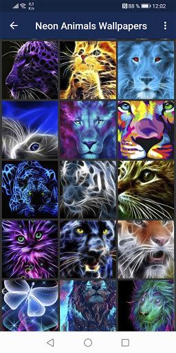 Neon Animals Wallpapers - عکس برنامه موبایلی اندروید