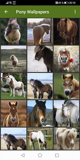 Pony Wallpapers - عکس برنامه موبایلی اندروید