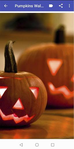 Pumpkin Wallpapers - عکس برنامه موبایلی اندروید