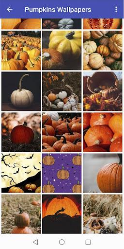 Pumpkin Wallpapers - عکس برنامه موبایلی اندروید