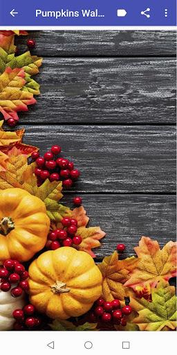 Pumpkin Wallpapers - Image screenshot of android app