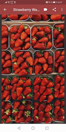 Strawberry Wallpapers - عکس برنامه موبایلی اندروید