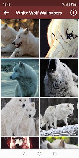 White Wolf Wallpapers - عکس برنامه موبایلی اندروید