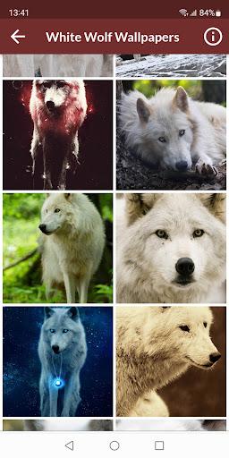 White Wolf Wallpapers - عکس برنامه موبایلی اندروید