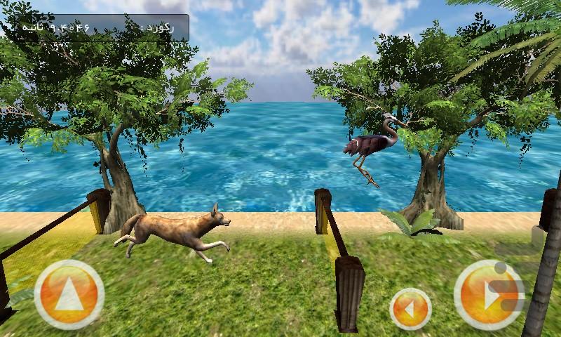 گرگ و مرغ - عکس بازی موبایلی اندروید