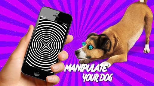 Real Hypnotizer For Dogs - عکس بازی موبایلی اندروید