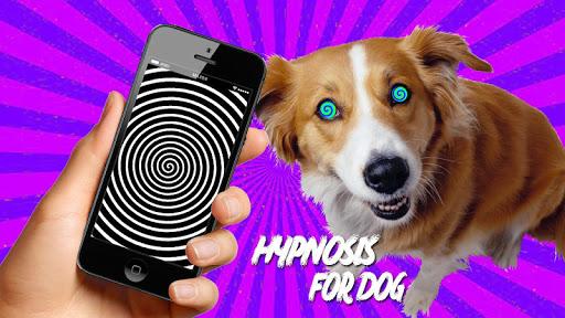 Real Hypnotizer For Dogs - عکس بازی موبایلی اندروید