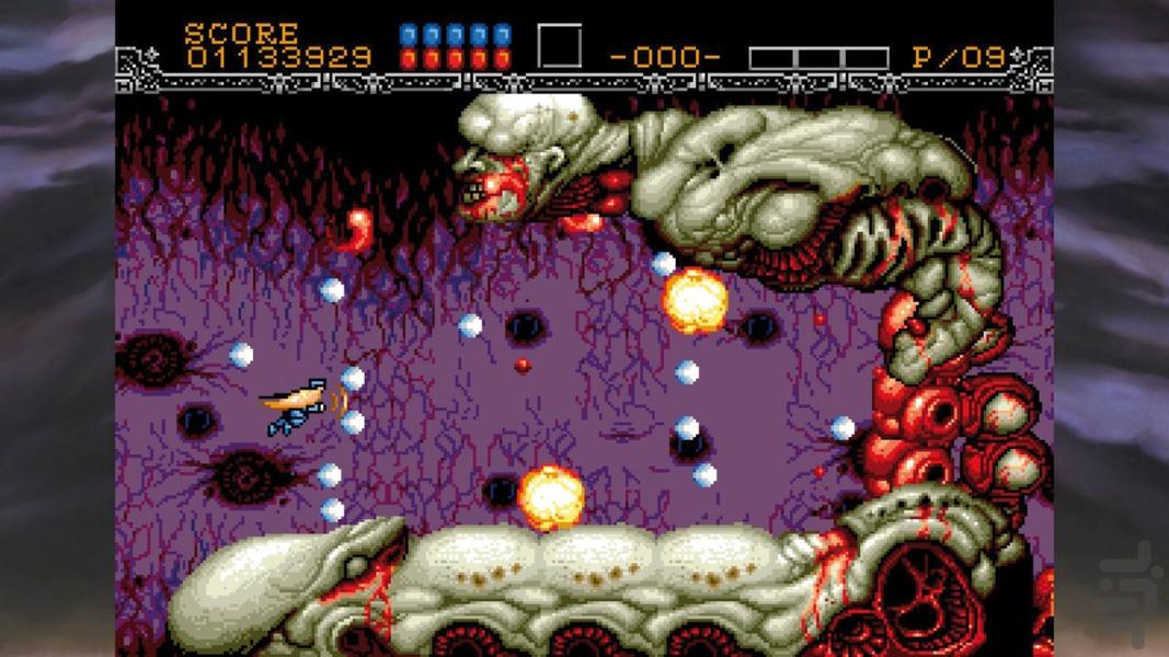 Gynoug - Gameplay image of android game