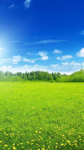 Landscape Live Wallpaper - عکس برنامه موبایلی اندروید