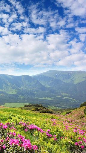 Landscape Live Wallpaper - عکس برنامه موبایلی اندروید