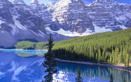 Landscape Live Wallpaper - عکس برنامه موبایلی اندروید