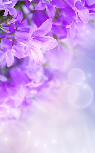 Lilac Flowers Live Wallpaper - Image screenshot of android app