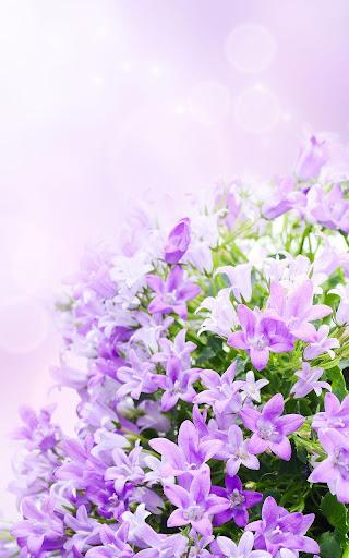 Lilac Flowers Live Wallpaper - Image screenshot of android app