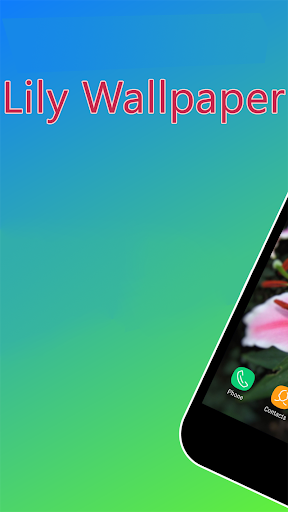 Lily Flower Wallpaper - Image screenshot of android app