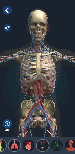 Human Anatomy 3D - Image screenshot of android app