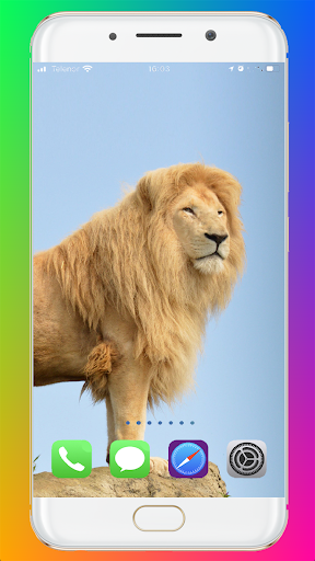 Lion Wallpaper HD - عکس برنامه موبایلی اندروید