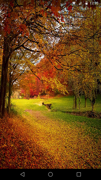 Autumn Live Wallpaper - Image screenshot of android app