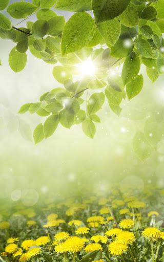 Spring Meadow Live Wallpaper - Image screenshot of android app