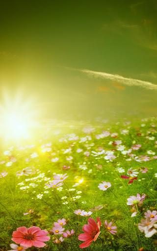 Spring Meadow Live Wallpaper - Image screenshot of android app