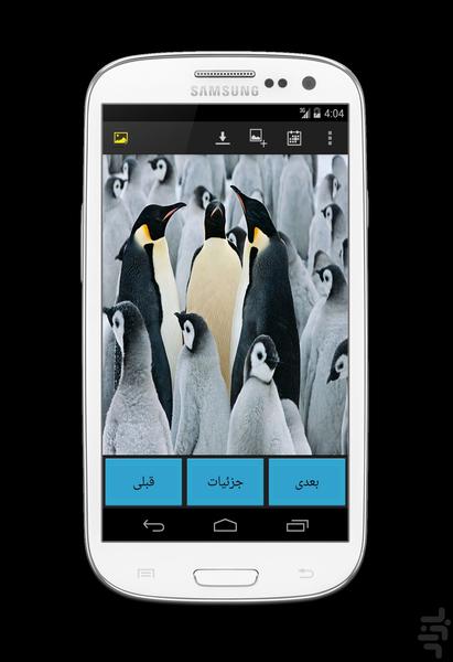 عکس روز - عکس برنامه موبایلی اندروید