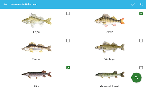 Fisherman's Watch - Image screenshot of android app