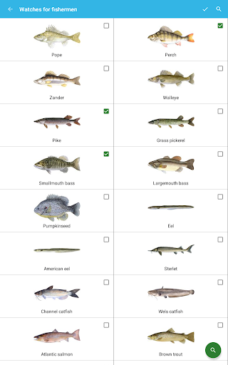 Fisherman's Watch - Image screenshot of android app