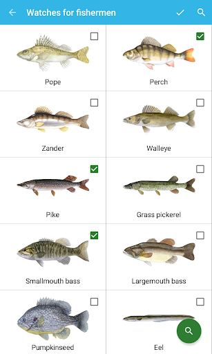 Fisherman Watch - Image screenshot of android app