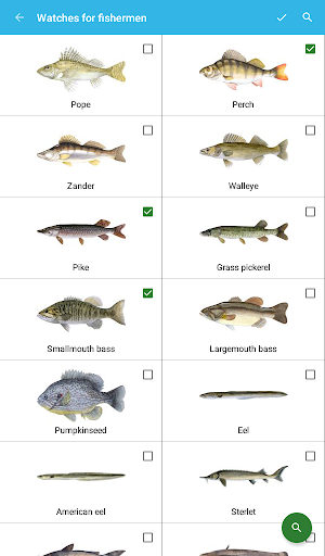 Fisherman's Watch - Image screenshot of android app