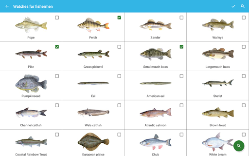 Fisherman's Watch - Image screenshot of android app