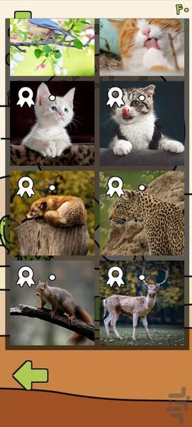 Relaxing Puzzle - Gameplay image of android game