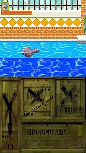 ماداگاسکار dsi - عکس بازی موبایلی اندروید