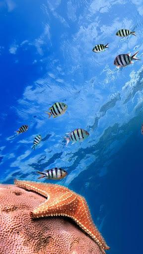 Ocean Fish Live Wallpaper - Image screenshot of android app