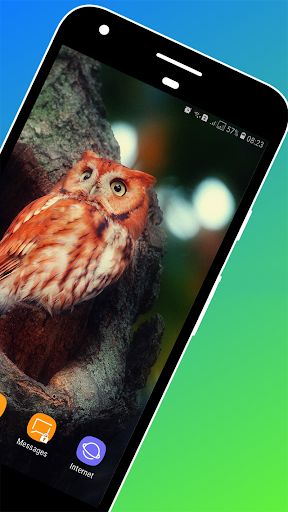 Owl Wallpaper - Image screenshot of android app