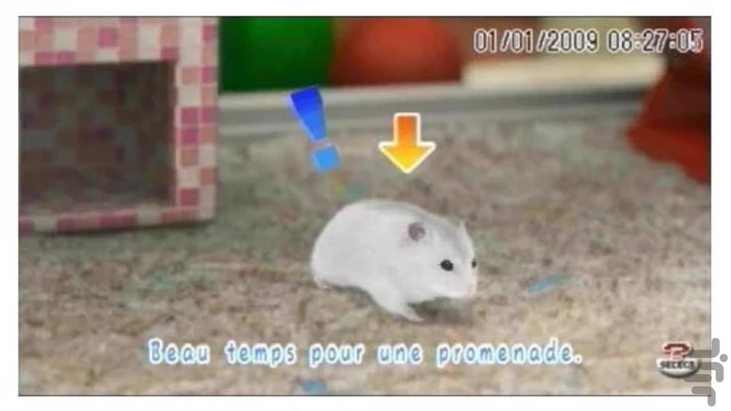 petz my baby hamster - Gameplay image of android game