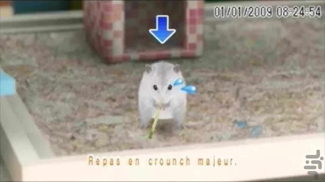 petz my baby hamster - Gameplay image of android game