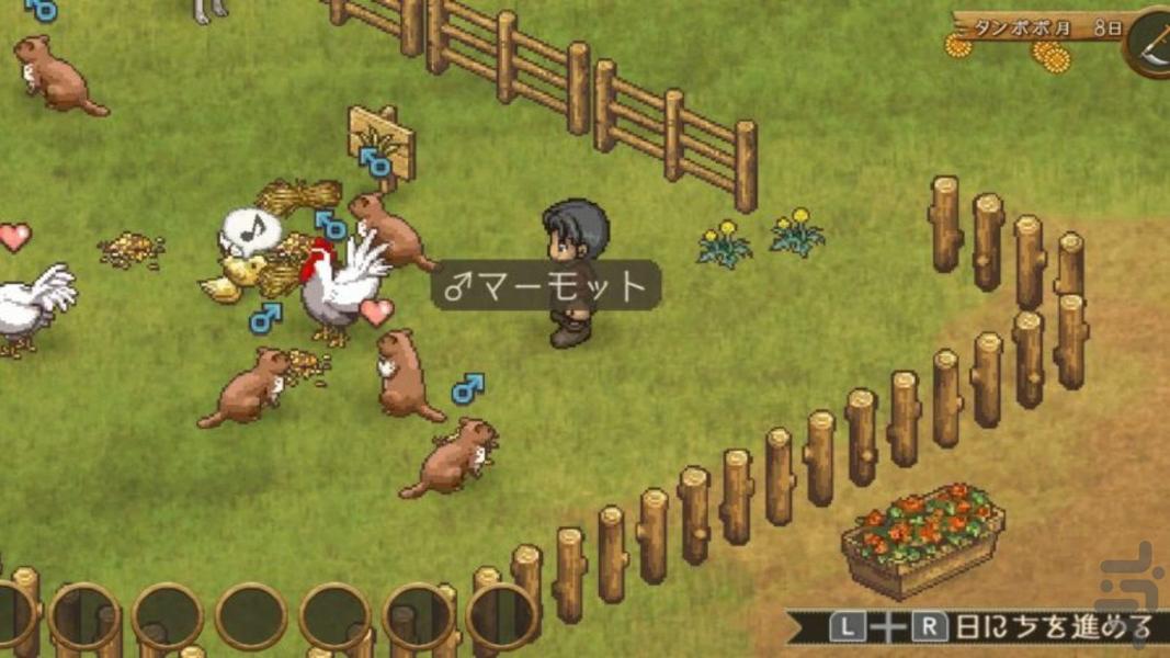 shepherds crossing - Gameplay image of android game