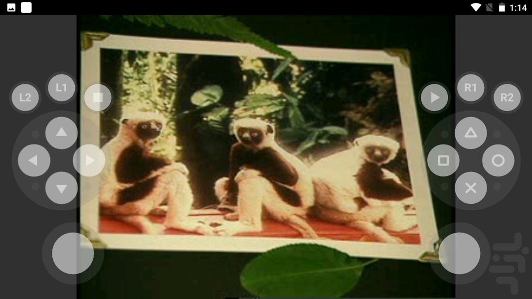 بازی لمورهای جهشی - عکس بازی موبایلی اندروید