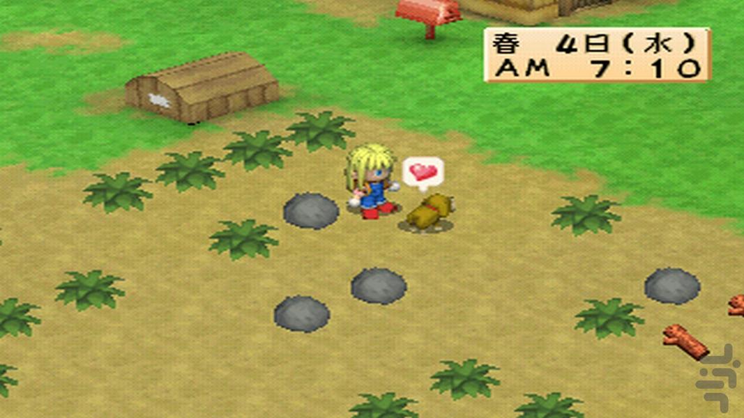 Bokujou Monogatari Harvest Moon - Gameplay image of android game